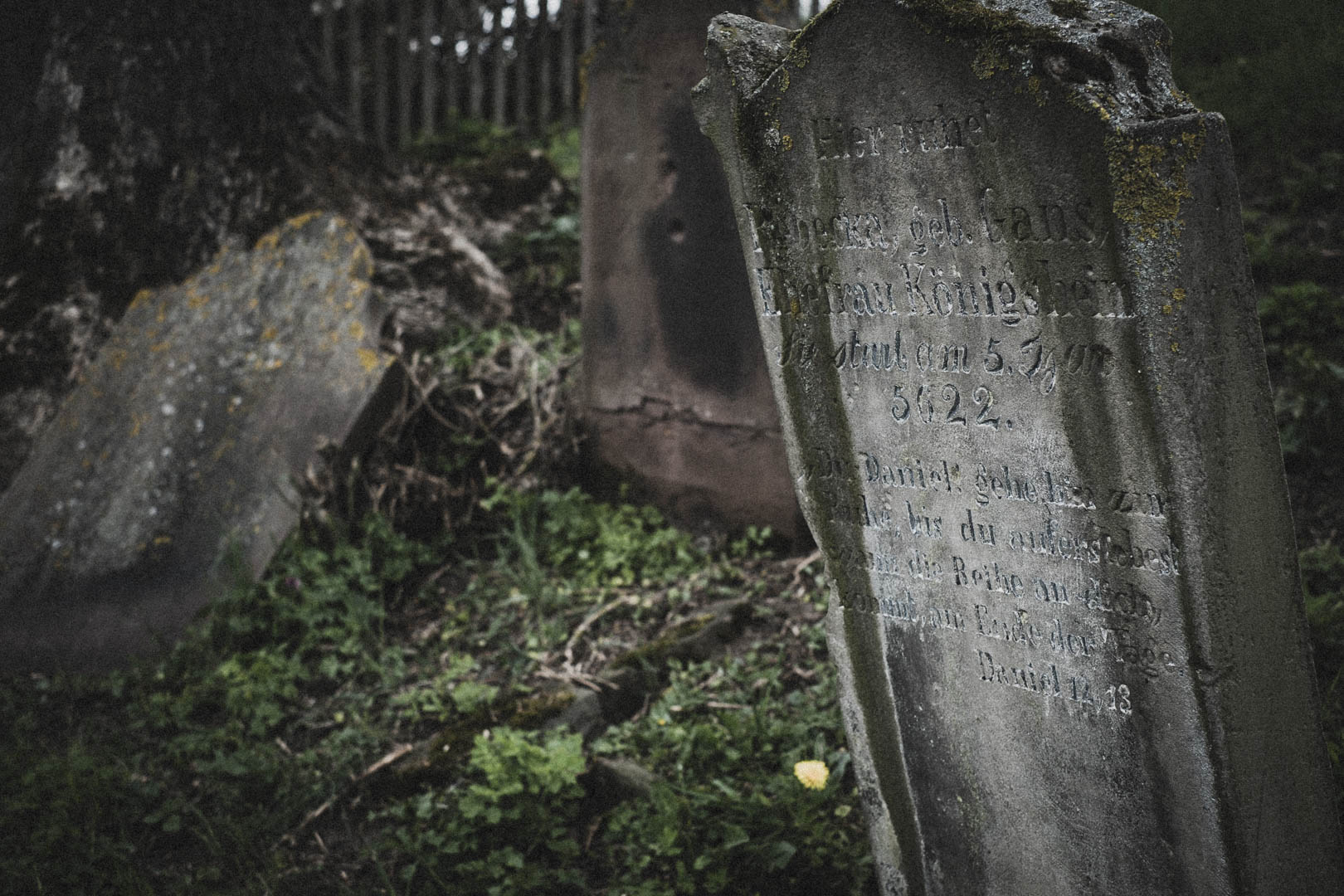 Borgholz, Jüdischer Friedhof